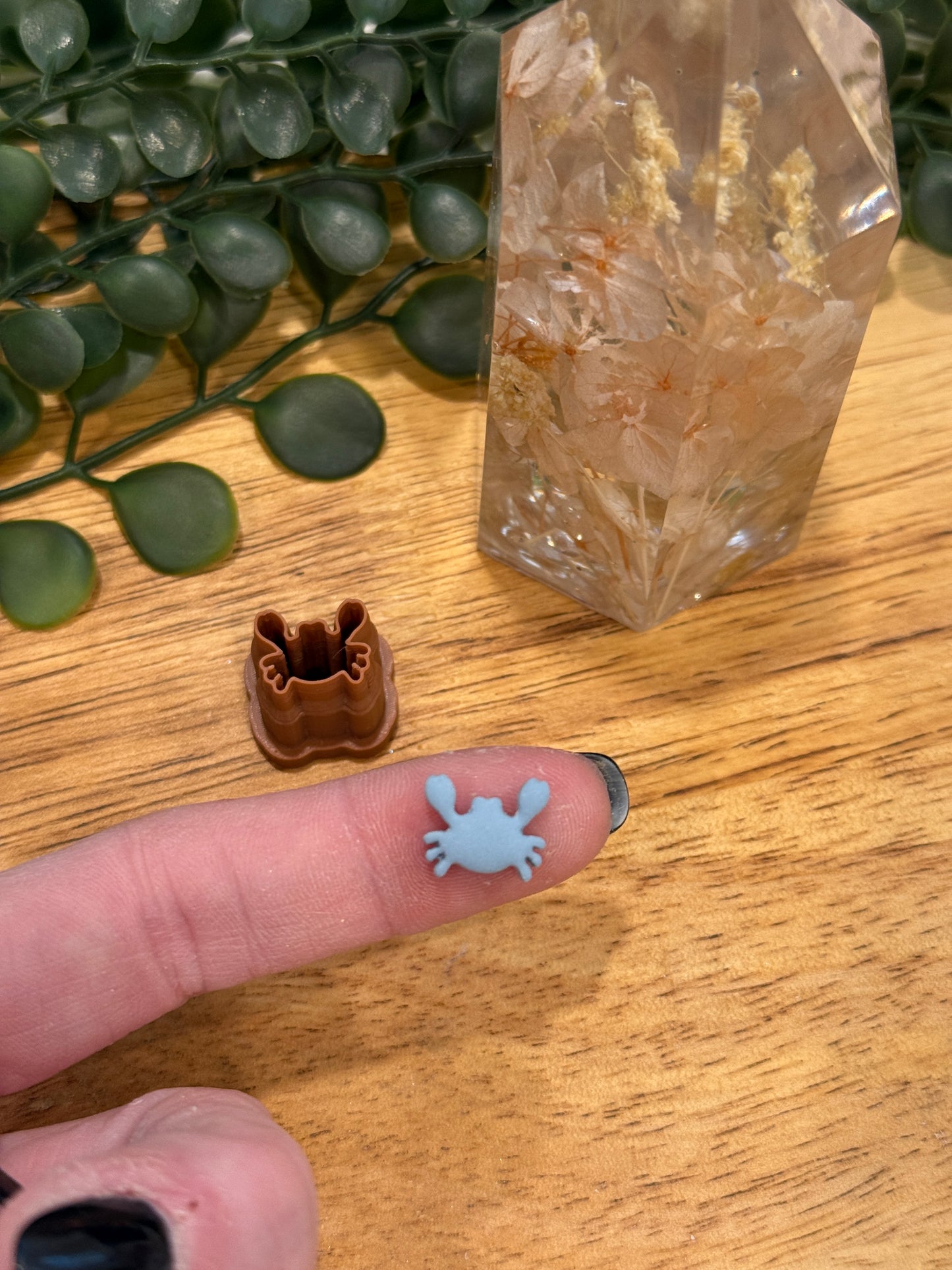 LIL CRAB | SUMMER SOLSTICE | CLAY CUTTER