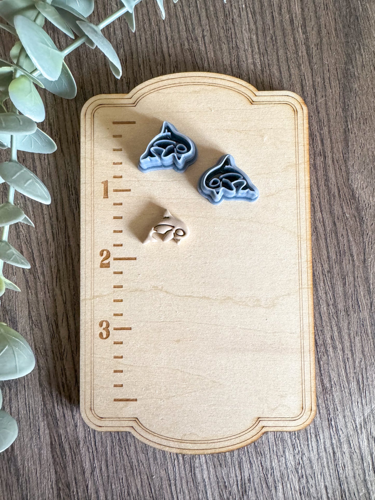 Orca Killer Whale | Summer Sea Life | Clay Cutters