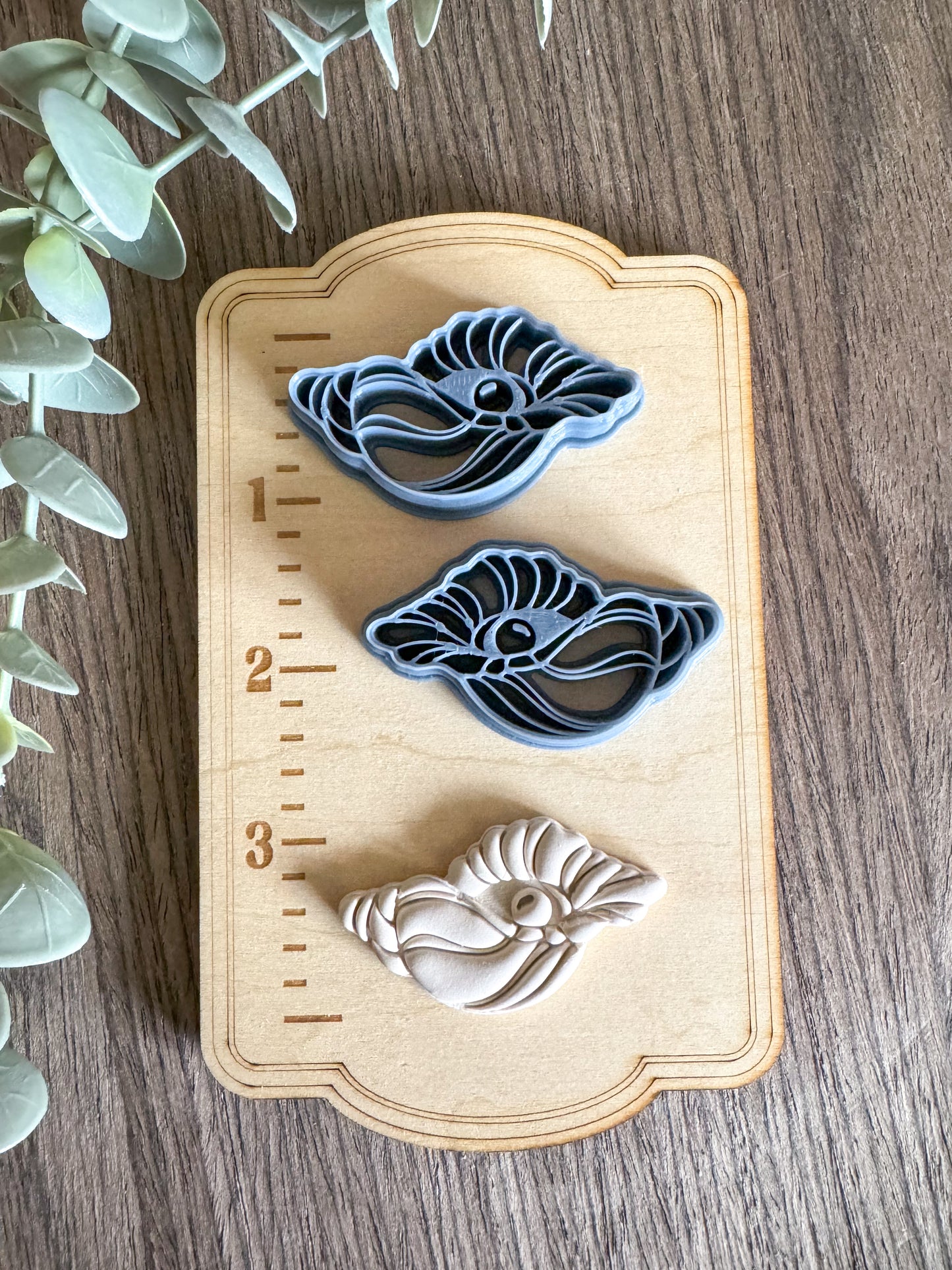 Seashell with Pearl | Summer Sea Life | Clay Cutters