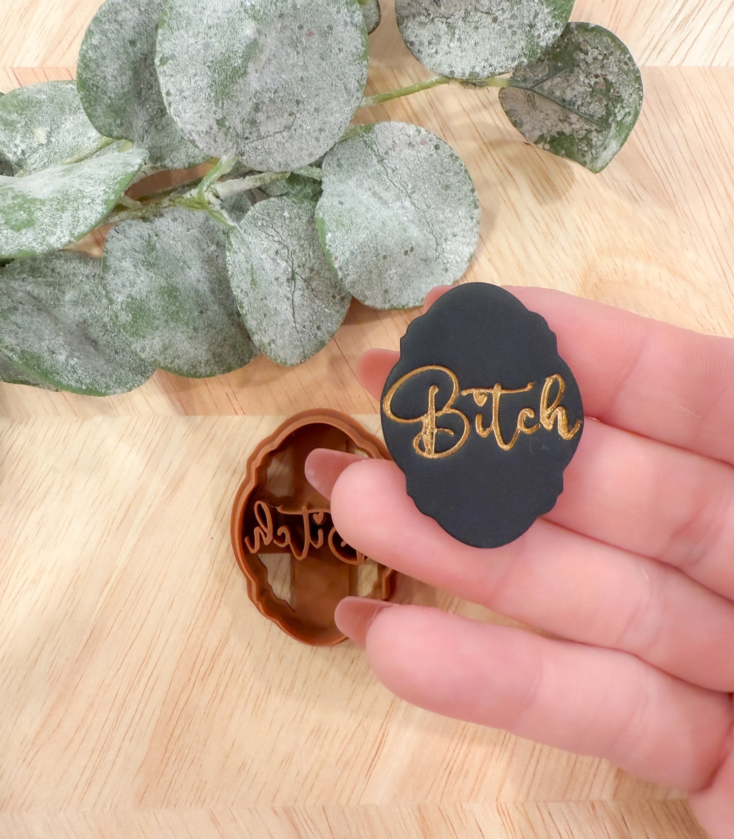 BITCH FRAMED | BAD WORDS | INAPPROPRIATE SAYINGS | CLAY CUTTER