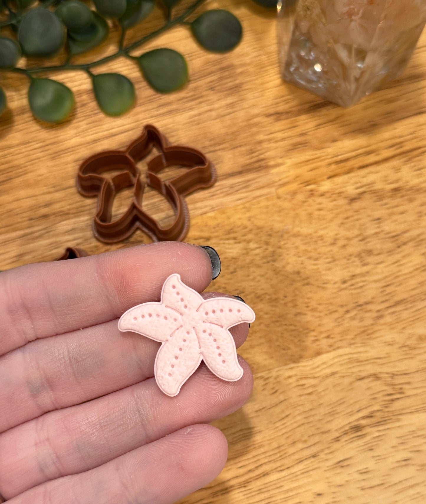 STARFISH | SUMMER SOLSTICE | SEALIFE | CLAY CUTTER