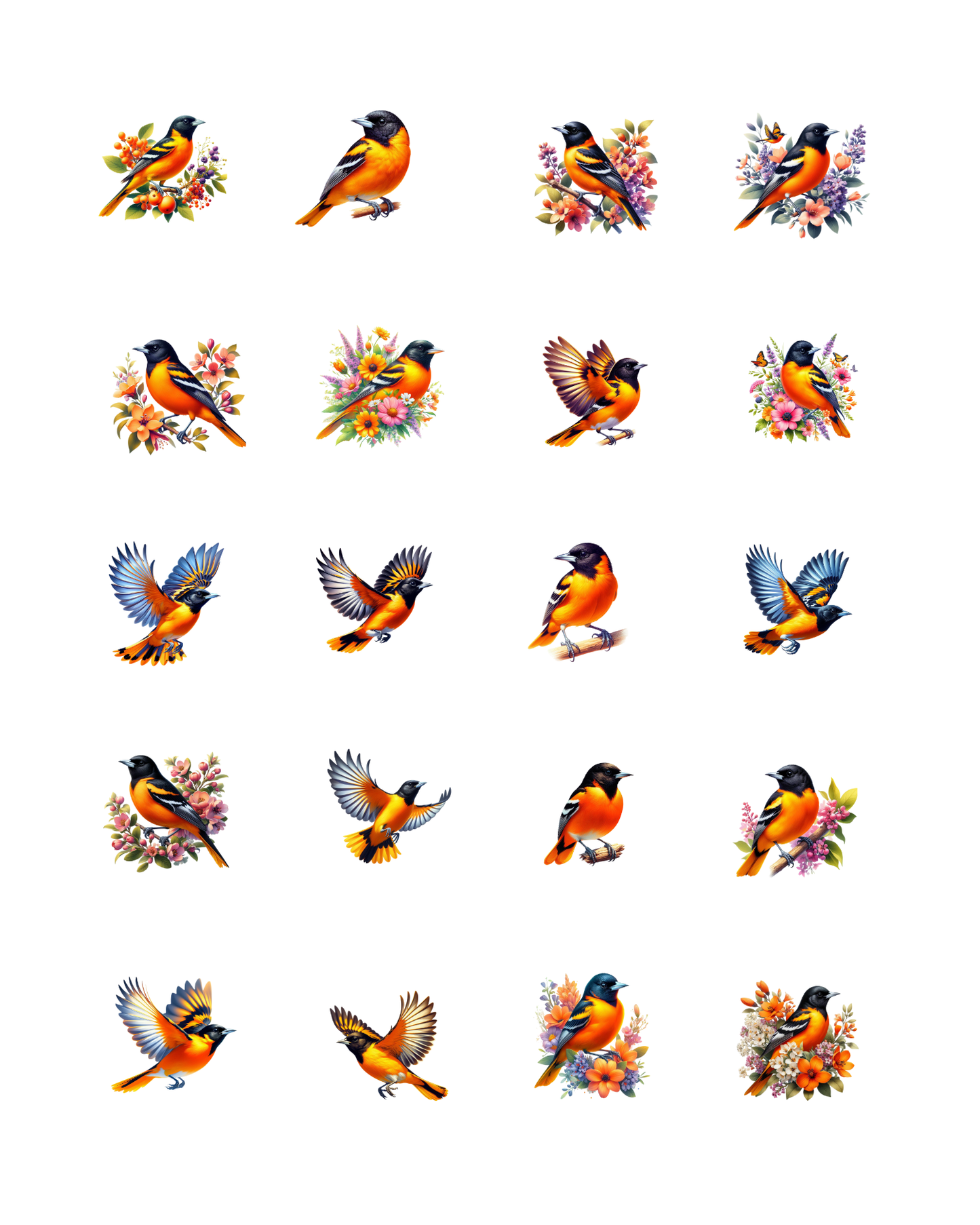 PCC 2299 ORIELES BIRD Transfer Paper | THE CHARM BAR