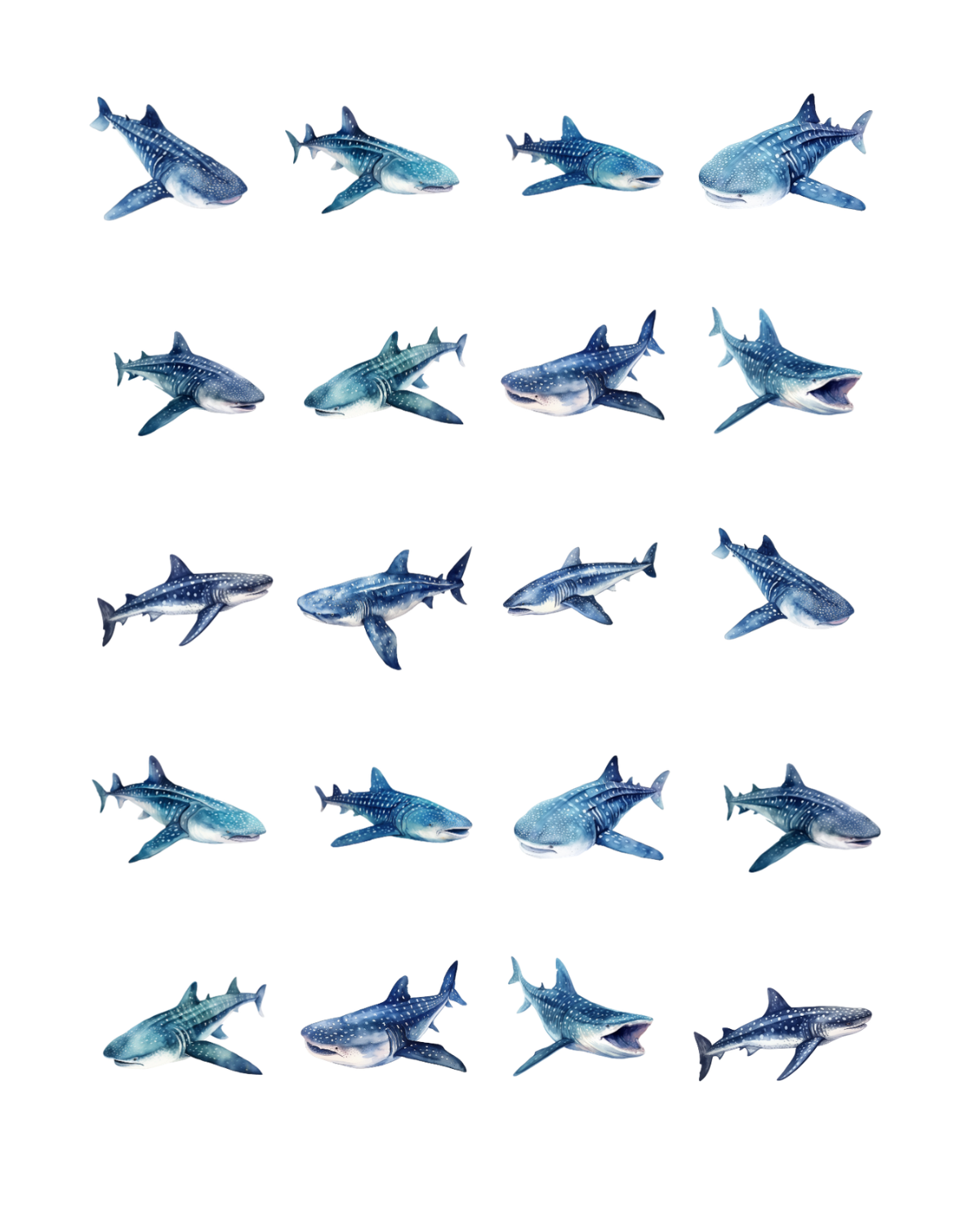 PCC 2206 WHALE SHARKS Transfer Paper | THE CHARM BAR
