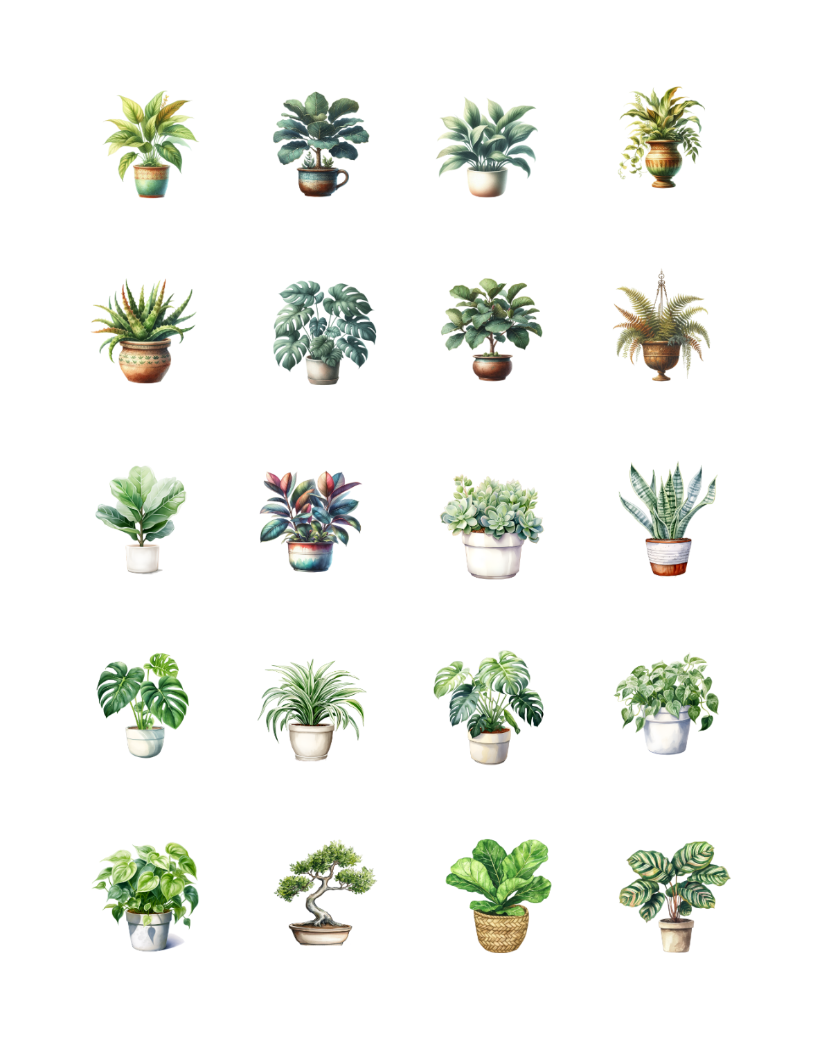 PCC 2224 REALISTIC HOUSEPLANTS Transfer Paper | THE CHARM BAR