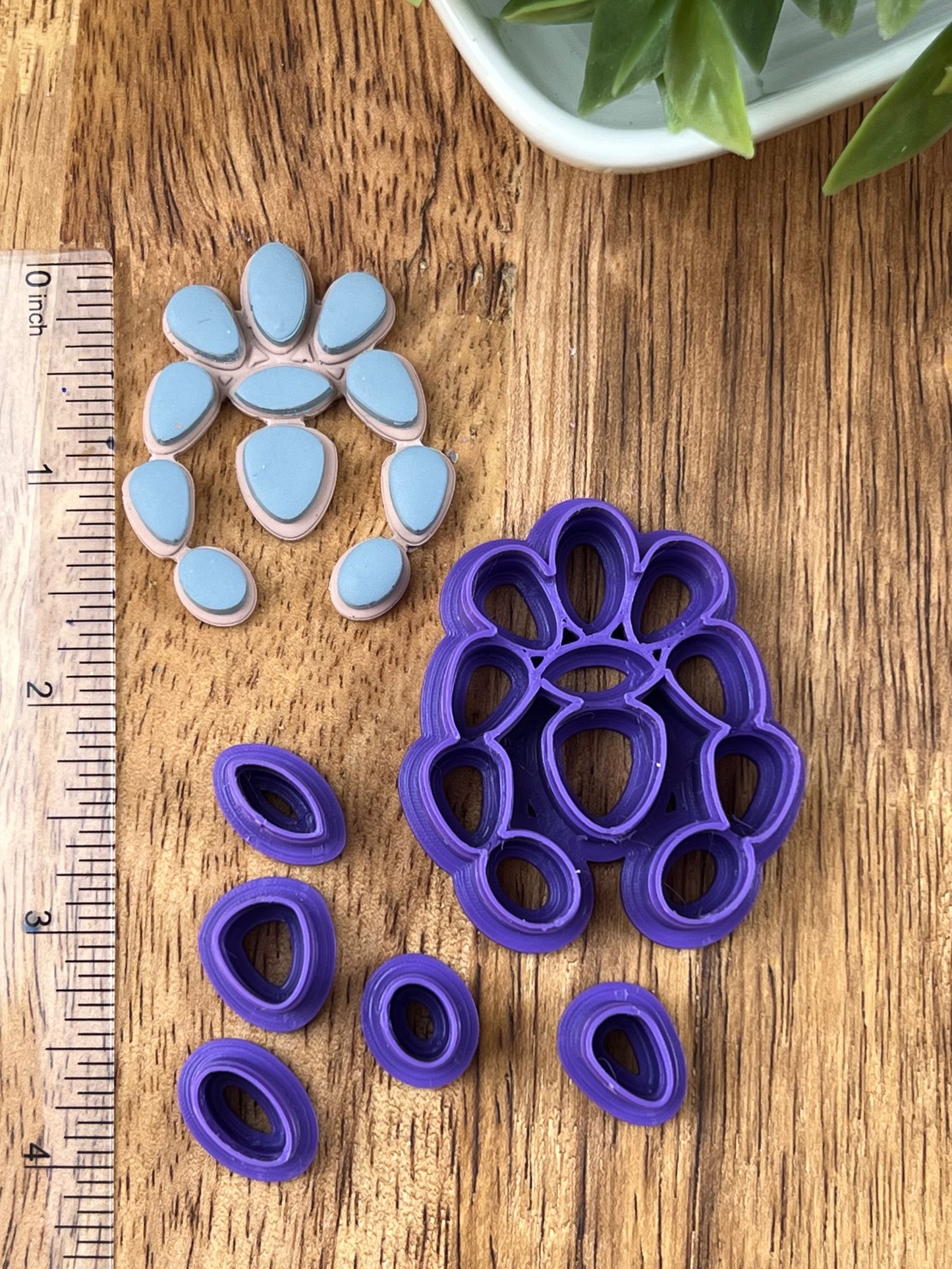 Western Turquoise - Horseshoe Cluster