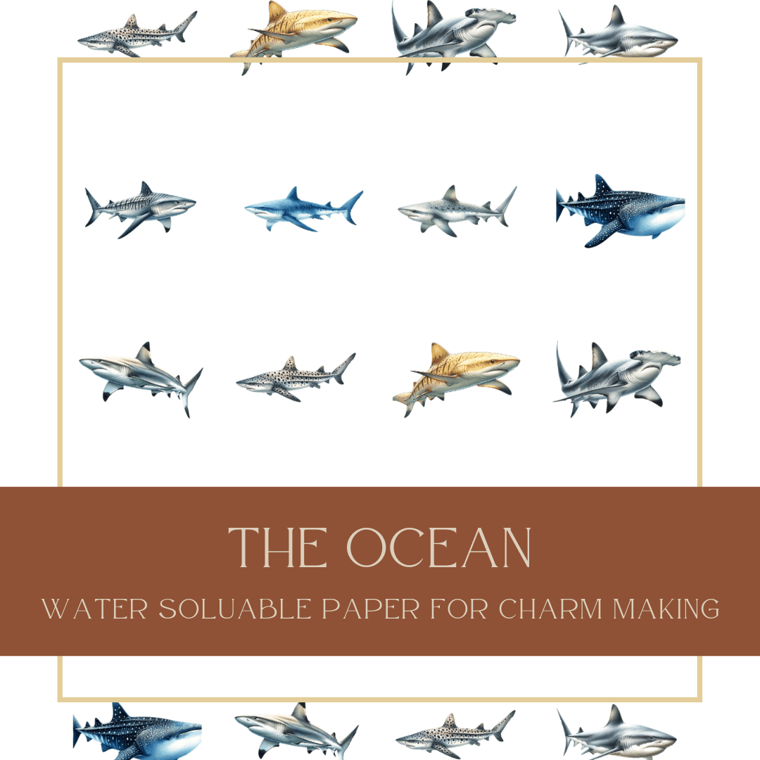 THE OCEAN CHARM TRANSFERS