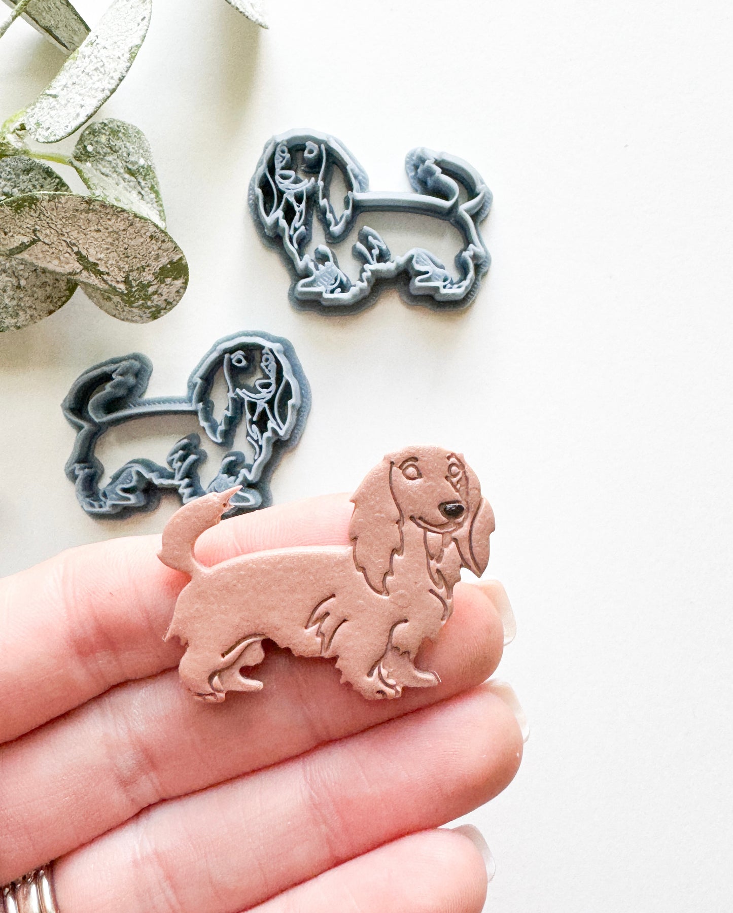 DACHSHUND DOG | SHOPSOMETHINGEARTHY COLLAB