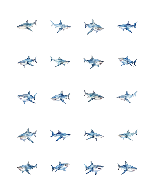 PCC 2180 SHARKS Transfer Paper | THE CHARM BAR
