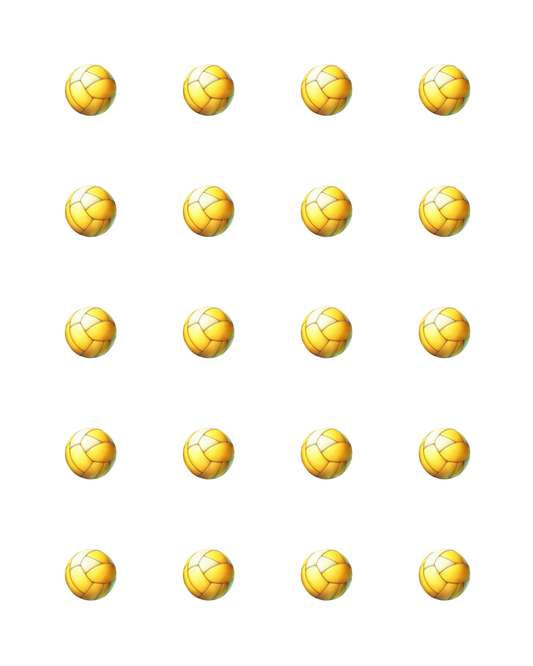 PCC 2317 VOLLEYBALLS Transfer Paper | THE CHARM BAR