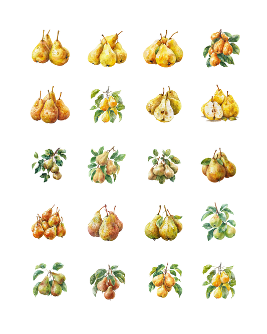 PCC 2331 PEARS Transfer Paper | THE CHARM BAR