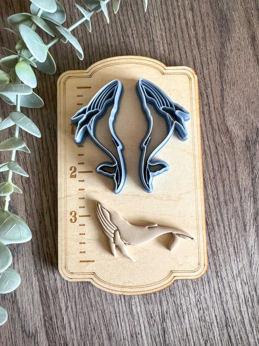 Humpback Whale | Summer Sea Life | Clay Cutters