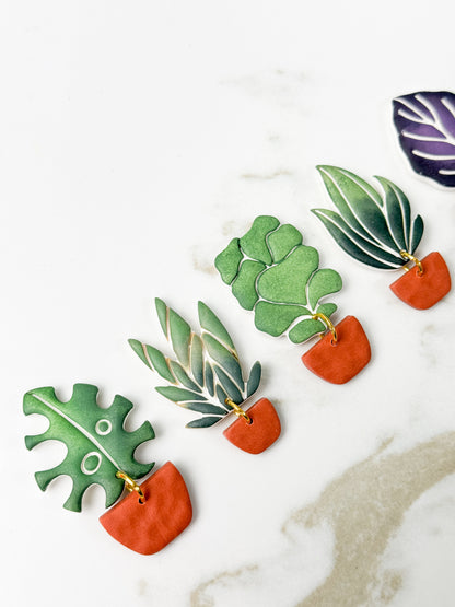 POTTED HOUSE PLANTS CLAY CUTTERS