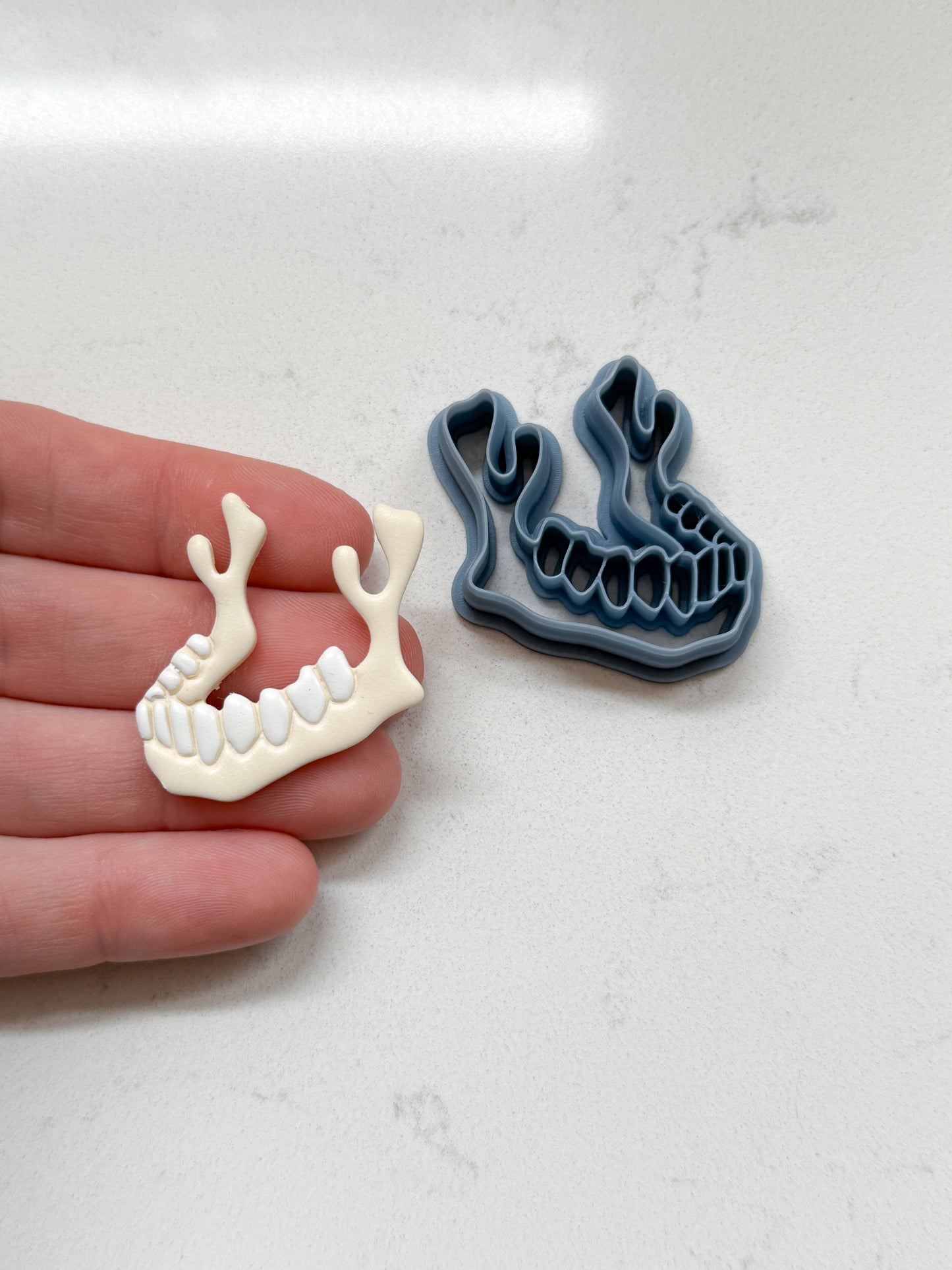 SKELETON BOTTOM JAW | HALLOWEEN 2025 | CLAY CUTTERS