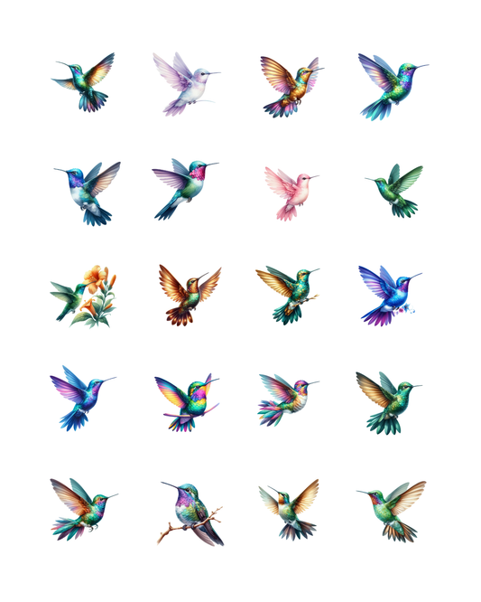 PCC 2300 THE HUMMINGBIRD Transfer Paper | THE CHARM BAR