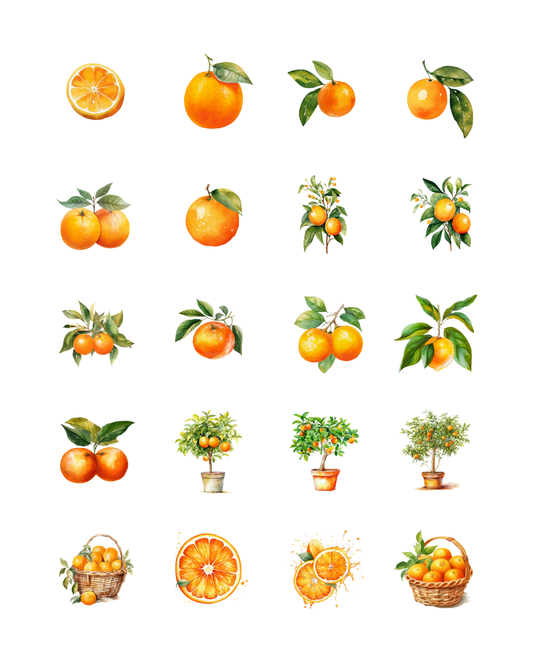 PCC 2296 ORANGE CITRUS Transfer Paper | THE CHARM BAR