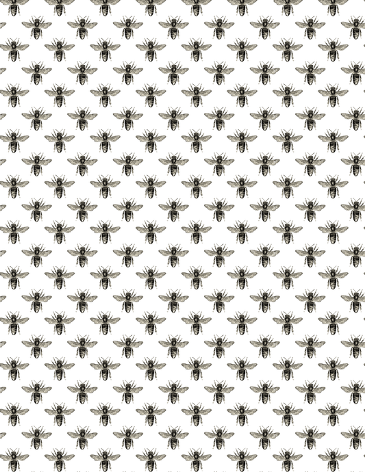 PCC 33 | TRANSFER PAPER FOR POLYMER CLAY