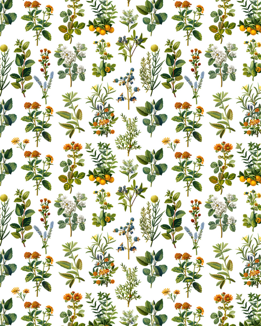 PCC 1019 PLANTS A Transfer Paper | THE CHARM BAR