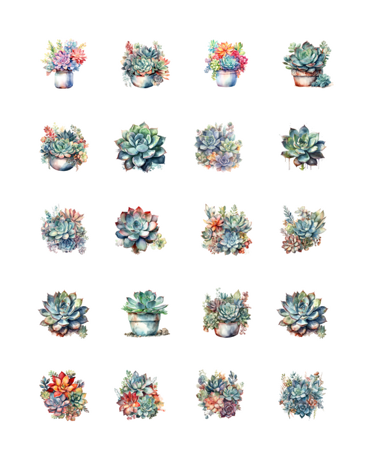 PCC 1088 SUCCULANTS Transfer Paper | THE CHARM BAR