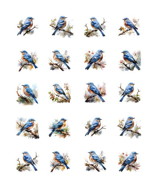 PCC 2004 EASTERN BLUE BIRD Transfer Paper | THE CHARM BAR