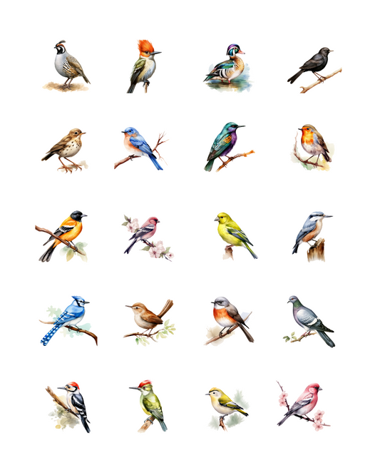 PCC 2005 FOREST BIRDS Transfer Paper | THE CHARM BAR