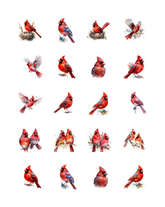 PCC 2019 CARDNIAL BIRDS Transfer Paper | THE CHARM BAR
