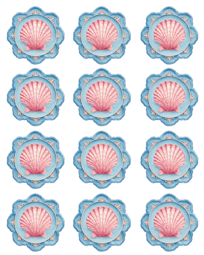 BLUE SCALLOP SHELL TRANSFER PAPER & CUTTER | PCC SET 012 | TRANSFER PAPER | CLAY CUTTER