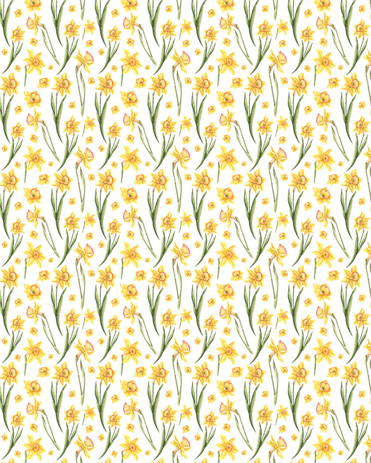 PCC 488 Transfer Paper | DAFFODILS