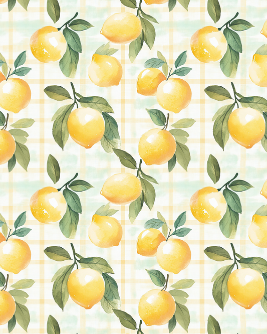 PCC 523 Transfer Paper | SUMMER STYLES
