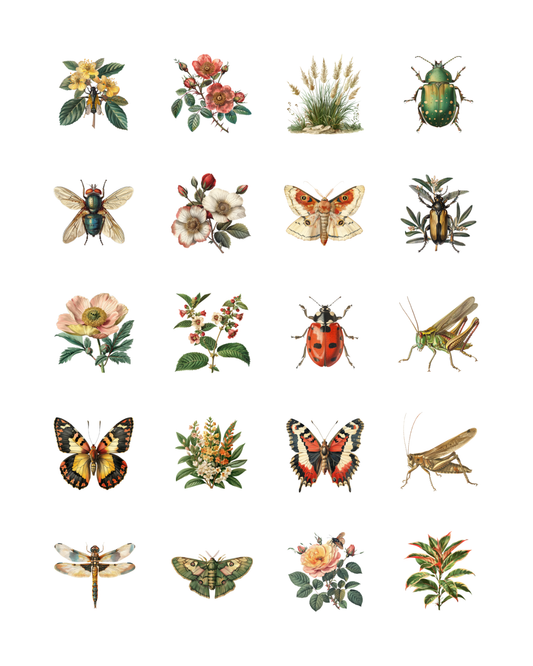 PCC 2366 BOTANICAL BUGS Transfer Paper | THE CHARM BAR