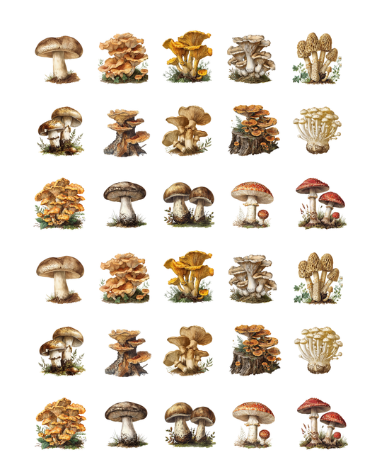 PCC 2370 VINTAGE MUSHROOMS Transfer Paper | THE CHARM BAR