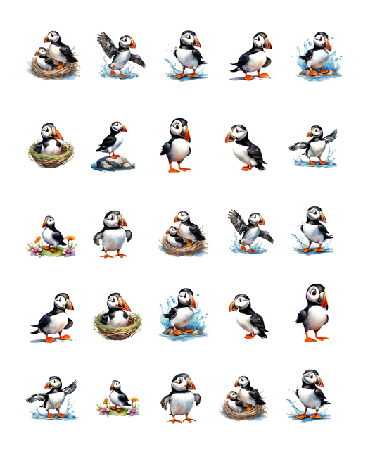 PCC 2381 PUFFINS Transfer Paper | THE CHARM BAR