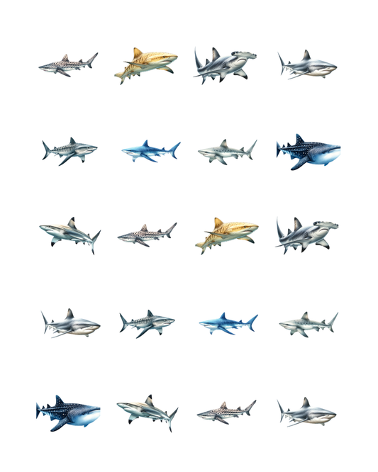 PCC 2205 VARIETY OF SHARKS Transfer Paper | THE CHARM BAR