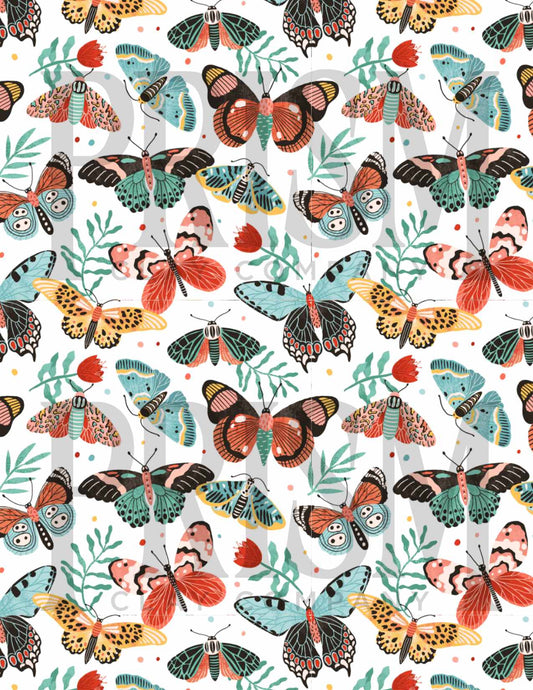 PCC 081 Transfer Paper | MOTHS