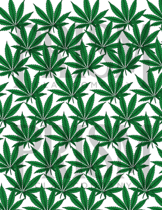 PCC 020 Transfer Paper | Maryjane | Pot | PLANTS