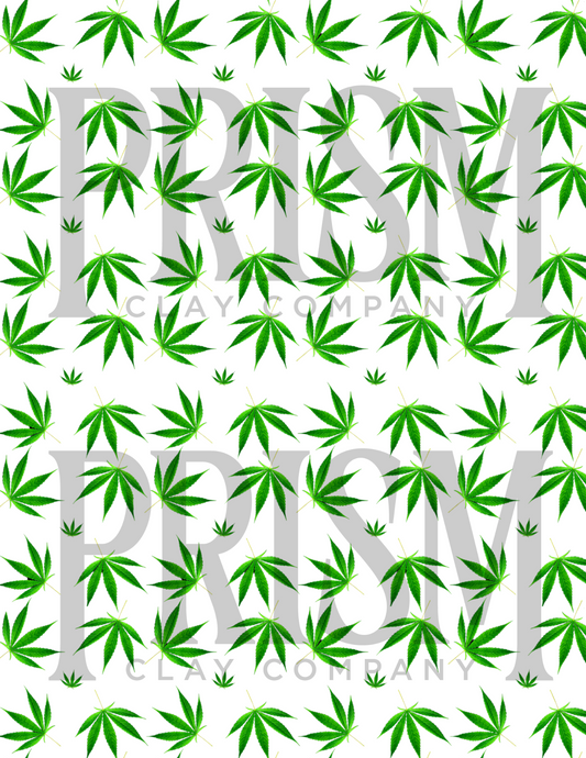 PCC 021 Transfer Paper | Maryjane | Pot | PLANTS