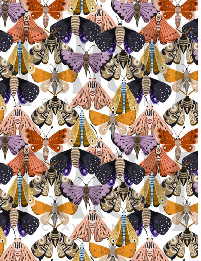 PCC 083 Transfer Paper | MOTHS